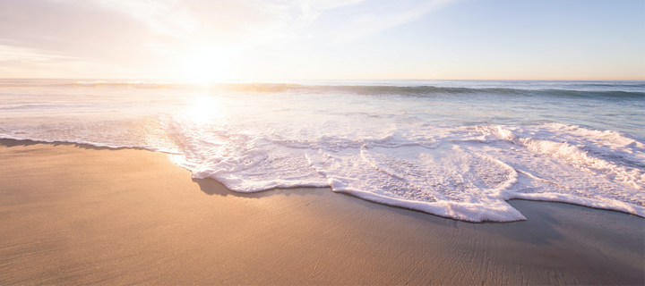 Five Companies Cleaning Up Ocean Bound Plastic